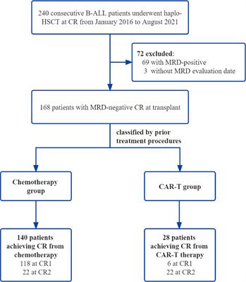 Comparable outcomes in patients with B-cell acute lymphoblastic leukemia receiving haploidentical hematopoietic stem cell transplantation: Pretransplant minimal residual disease-negative complete remission following chimeric antigen receptor T-cell therapy versus chemotherapy